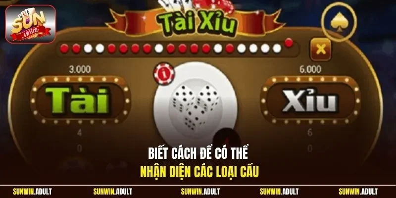 Biết cách để có thể nhận diện các loại cầu 